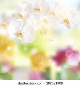 vector illustration of white orchids on a bright floral background.