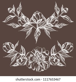 Vector illustration with white peonies and leaves. Linear  graphics, sketch, ink drawing, imitation of engraving.  Hand drawn plants,  line-art. Floral background. Retro, vintage flowers.