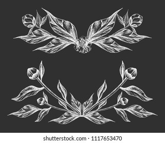 Vector illustration with white peonies and leaves. Linear  graphics, sketch, ink drawing, imitation of engraving.  Hand drawn plants,  line-art. Floral background. Retro, vintage flowers.