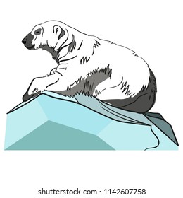 Vector illustration of white polar bear. North. Winter. Sketch. Isolated on white background.