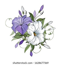 Vector illustration with white, purple flowers petunia, buds and green leaves isolated on white background. Hand drawn. Floral composition for wedding invitation, greeting cards. Watercolor style.