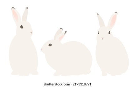 Ilustración vectorial de conejos blancos aislados en el fondo.
