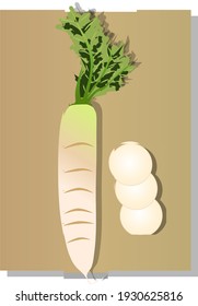 Vector illustration of white radish stock photo