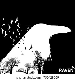 Vector illustration of the white raven head silhouette with the fluttering wings on a black background Double exposure effect. 