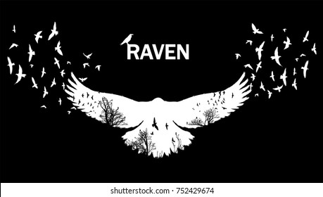 Vector illustration of the white raven silhouette with the fluttering wings on a black background Double exposure effect. 