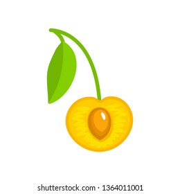 Vector illustration of white ripe cut cherry with stem, leaf & seed. Flat icon of organic fresh berry. Isolated object 