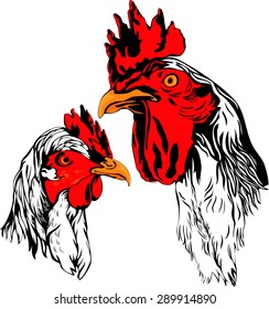 Vector illustration of white rooster and hen