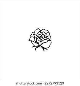  vector illustration of a white rose