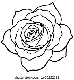 Vector illustration of a white rose on a white background with floral and vintage design elements
