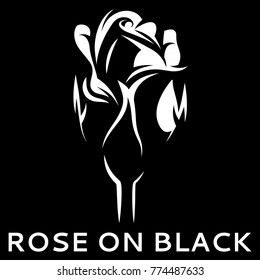 vector illustration with white rose on black background.