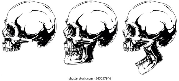 Pictures skeleton profile Skeleton Technologies