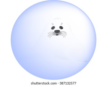 Vector illustration, white seal is looking through a glass ball