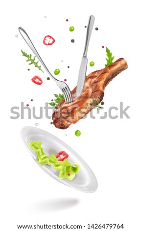 vector illustration of white shiny plate on a white background with a knife, fork and meat