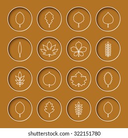 Vector illustration: white silhouettes of different tree leaves (elm, beech, ash, linden,birch, alder, aspen, willow, conker) in concave yellow circles with white stroke isolated on mustard background