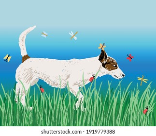 Vector illustration of white small dog walking in green grass on summer day