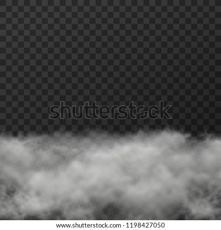 Vector illustration of white smoky clouds  on transparent background