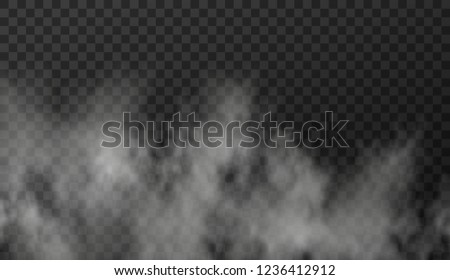 Vector illustration of white smoky clouds  on transparent background