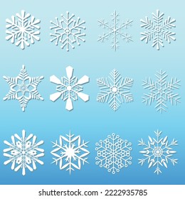 Vector illustration of white snowflakes collection on soft blue tone for Christmas decoration