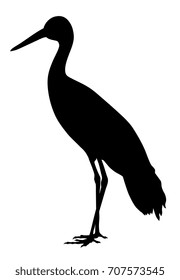 Vector illustration of white stork silhouette