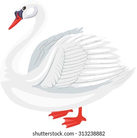 Vector Illustration of a White Swan