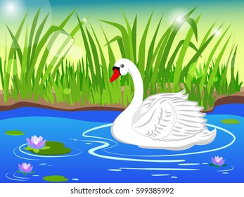 Vector illustration. A white swan floats on the lake surrounded by beautiful water lilies.