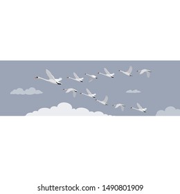 Vector illustration. white swans flying in formation on sky. graphic design with birds.