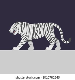 Vector illustration of white tiger.