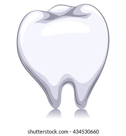 Vector Illustration of a White Tooth