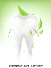 Ilustración vectorial de diente blanco con flechas de hojas verde claro. Concepto dental.