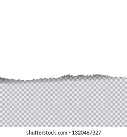 Vector illustration white torn paper on transapency background