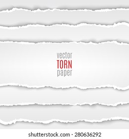 Vector illustration white torn paper. Template background