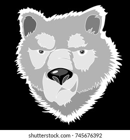 Vector Illustration - white wolf head