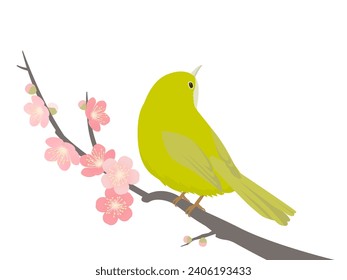 Ilustración vectorial de ojo blanco y ciruela