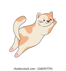 Vector illustration of a white-red cat lying on its stomach. Funny pet. Great as a fashionable print for pajamas or T-shirts, postcards, stickers. Cartoon style