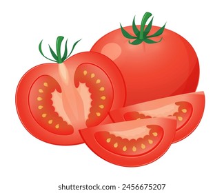 Vector illustration of whole and cut tomatoes