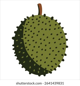 Vector illustration of whole durian isolated on white background. Premium quality tropical fruit image ideal for culinary designs and Asian grocery themes