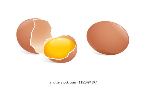 vector illustration of whole egg and broken egg with yolk