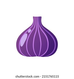 Vector illustration of whole fig isolated on white background. Sweet juicy fruit. Summer tropical fruits for a healthy lifestyle.