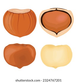 Vector illustration of whole and half brown hazelnut with green leaves. Hazelnut icon, logo, clip art and elements for web and business design.