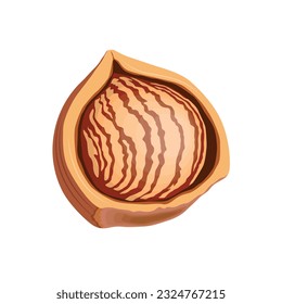 Vektorgrafik von Haselnuss, ganz und halb braun, mit grünen Blättern. Hazelnut-Ikone, Logo, Clipart und Elemente für Web- und Business-Design.