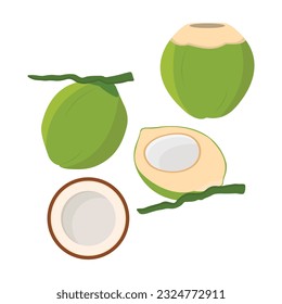 Vector illustration of whole and half green young coconut. Ripe coconut icon, logo, clip art in cartoon flat style for copra and drinking business. Green coconut tropical fruit.