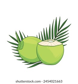 Ilustración vectorial de coco joven entero y medio verde. 