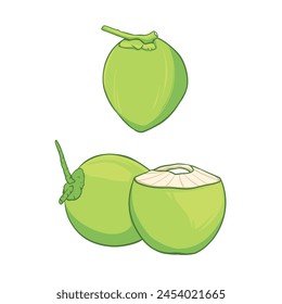 Vector illustration of whole and half green young coconut. 