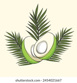 Vector illustration of whole and half green young coconut. 