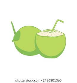 Vector illustration of whole and half green young coconut
