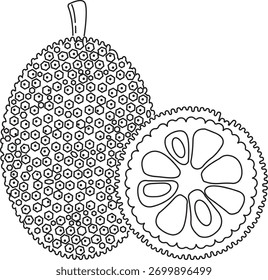 Ilustración vectorial, jackfruit entero y medio aislado en un fondo blanco. Fruta tropical en estilo plano.