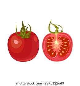 Vector illustration, whole and halved cherry tomatoes, isolated on white background.