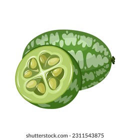 Vector illustration, whole and halved cucamelons, scientific name Melothria scabra, isolated on white background.