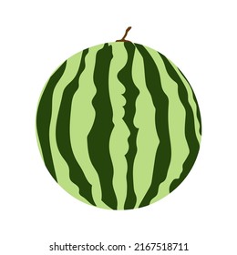 Vector illustration of a whole juicy summer watermelon. Flat style vector