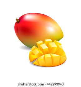 Vector illustration of whole mango and cut mango